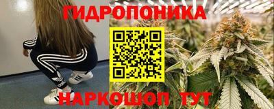 индика Северобайкальск
